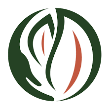 https://www.comingaia.fr/prestataire/maxime-lupo