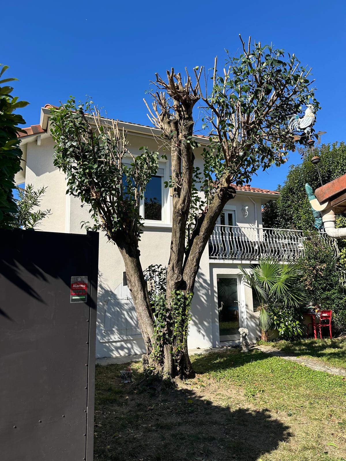 après ML JARDINAGE