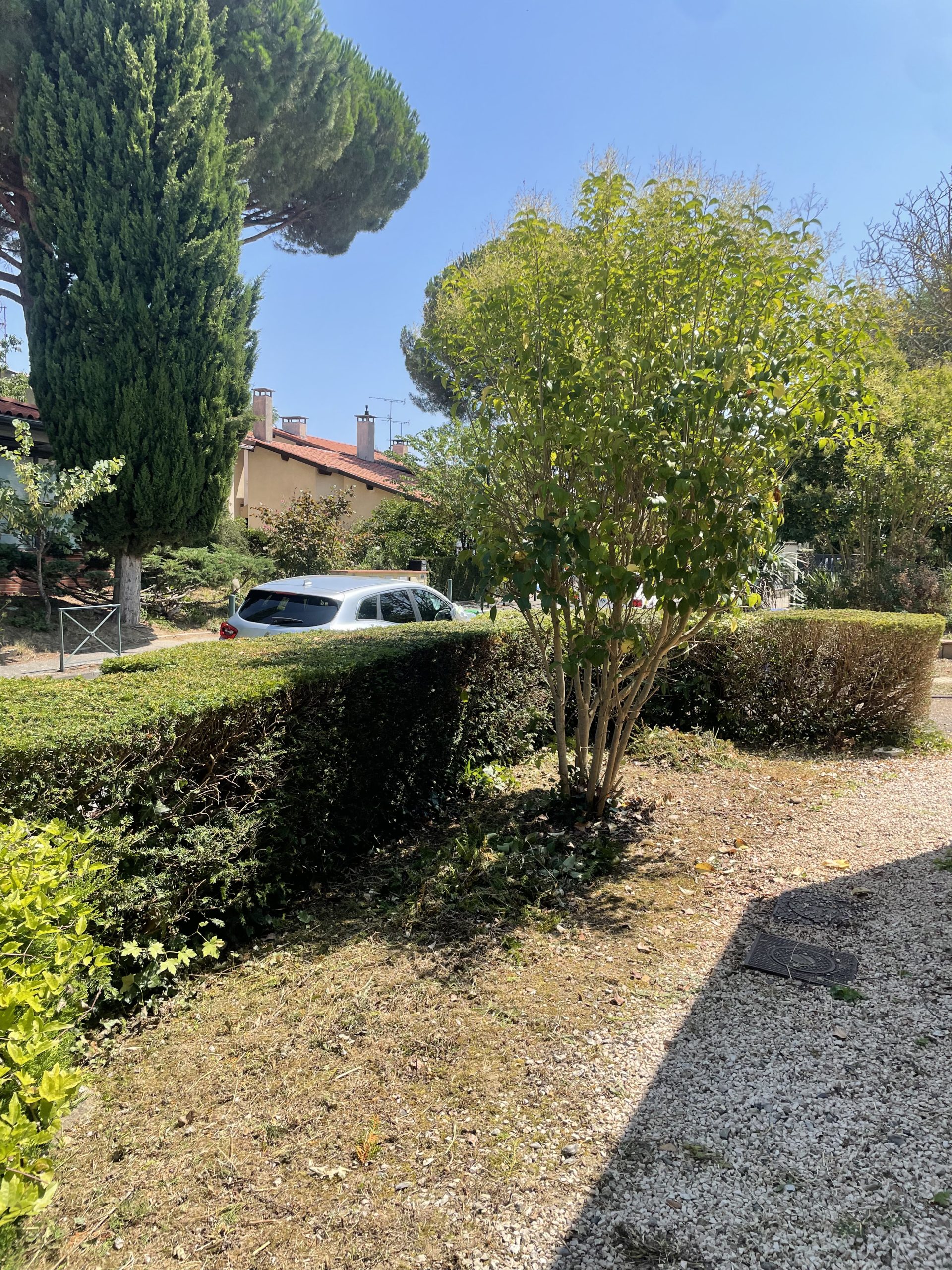 ML Jardinage