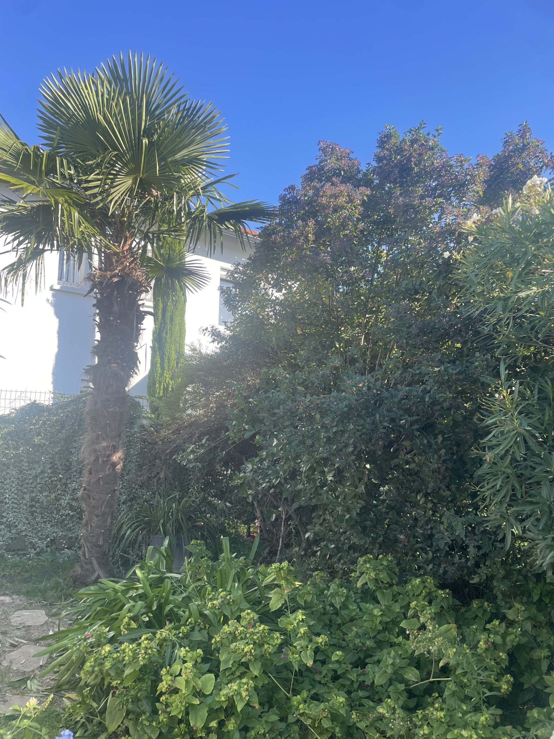 ML Jardinage