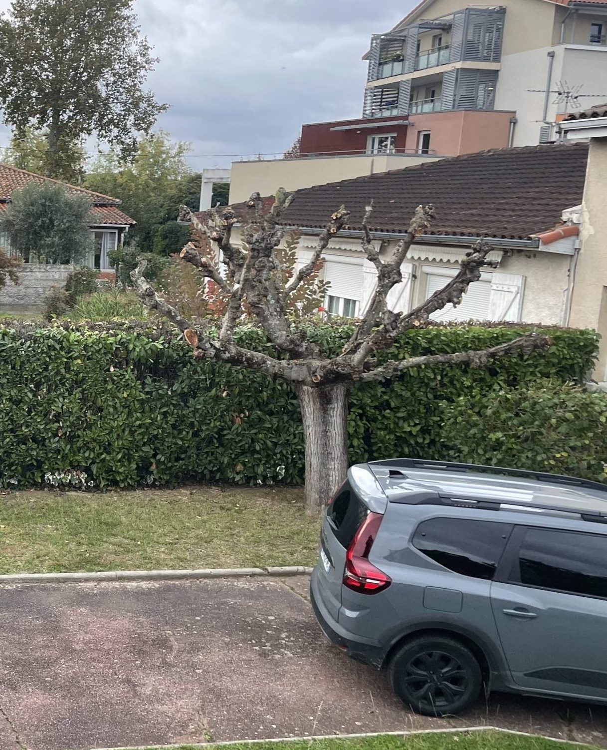 ML Jardinage