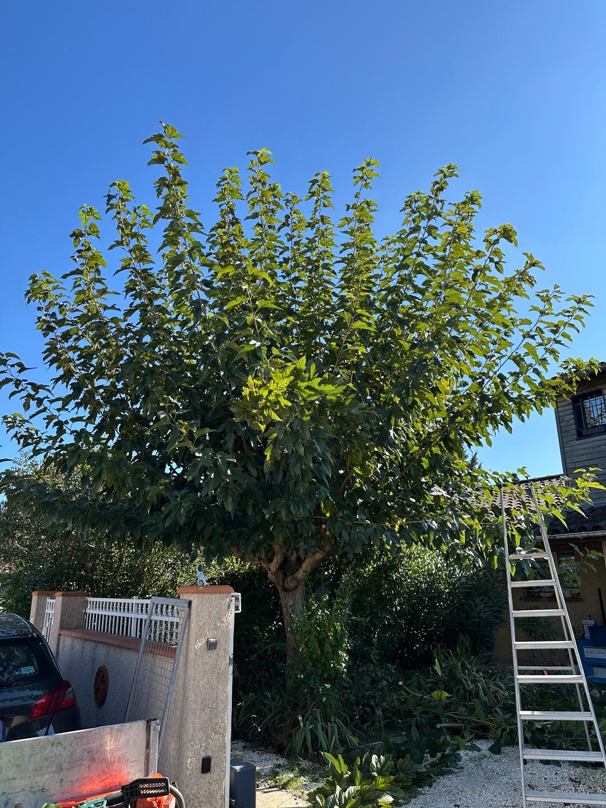 ML Jardinage