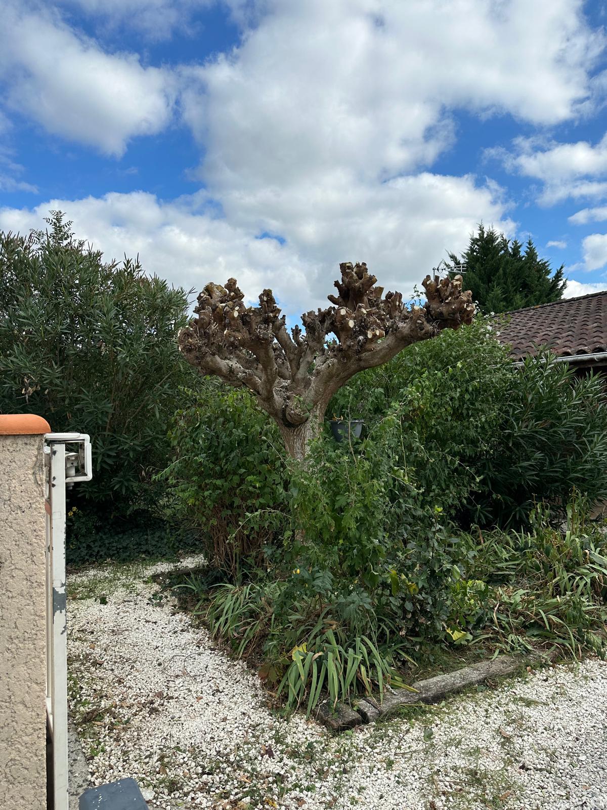 ML Jardinage