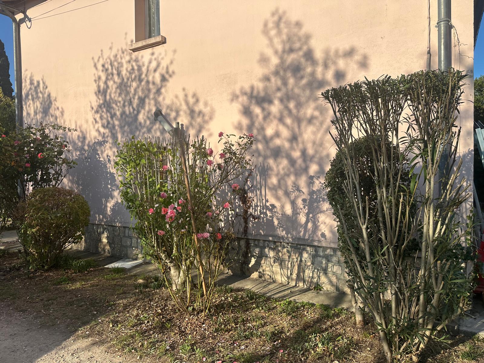 ML Jardinage
