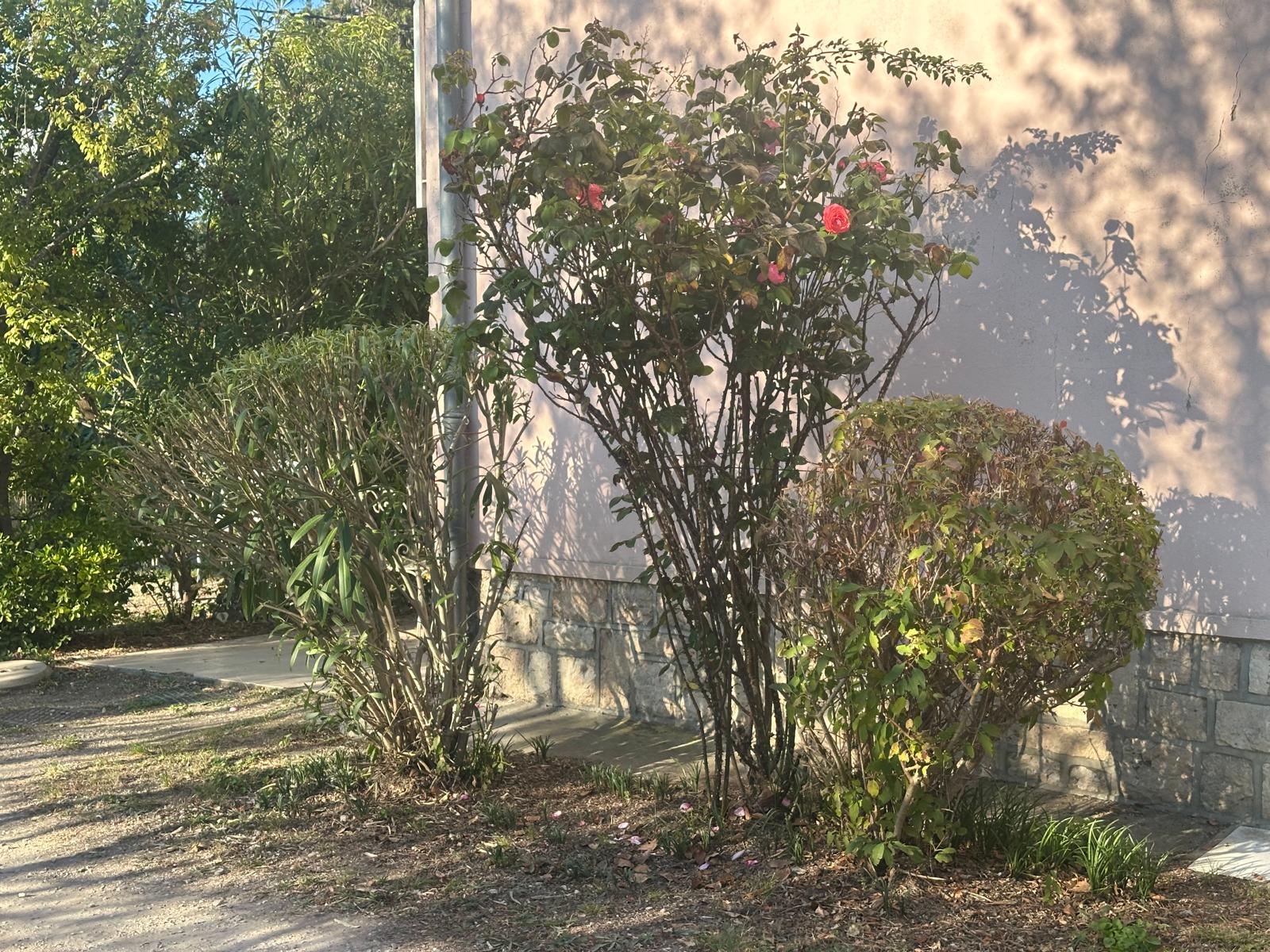 ML Jardinage