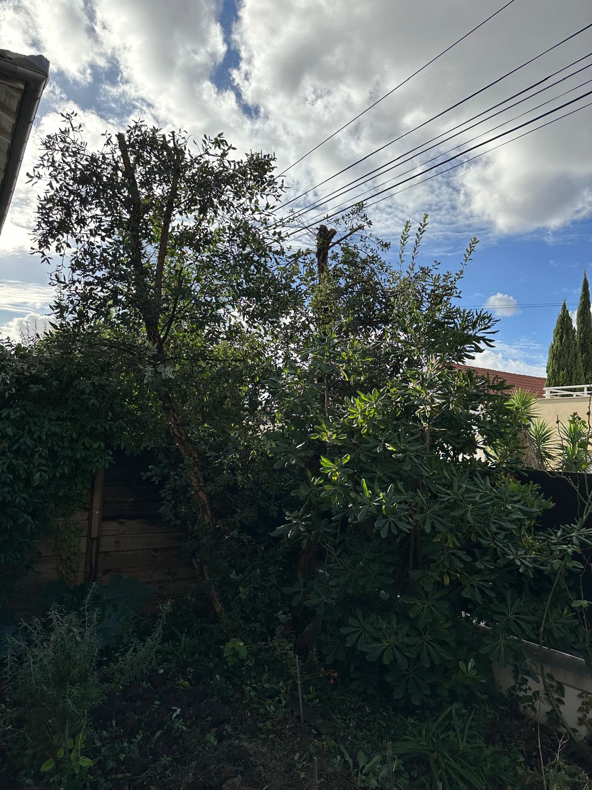 ML Jardinage