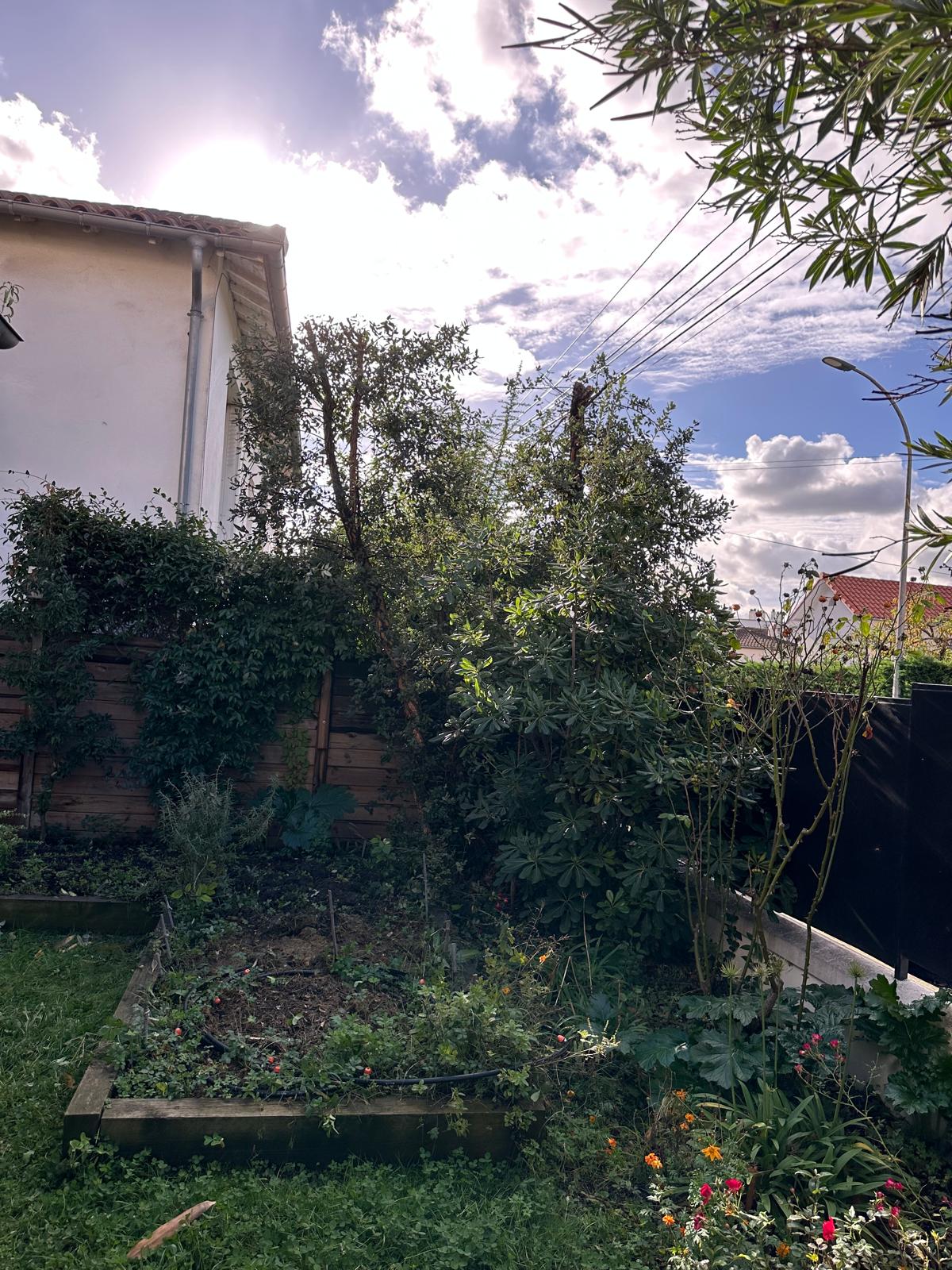 ML Jardinage