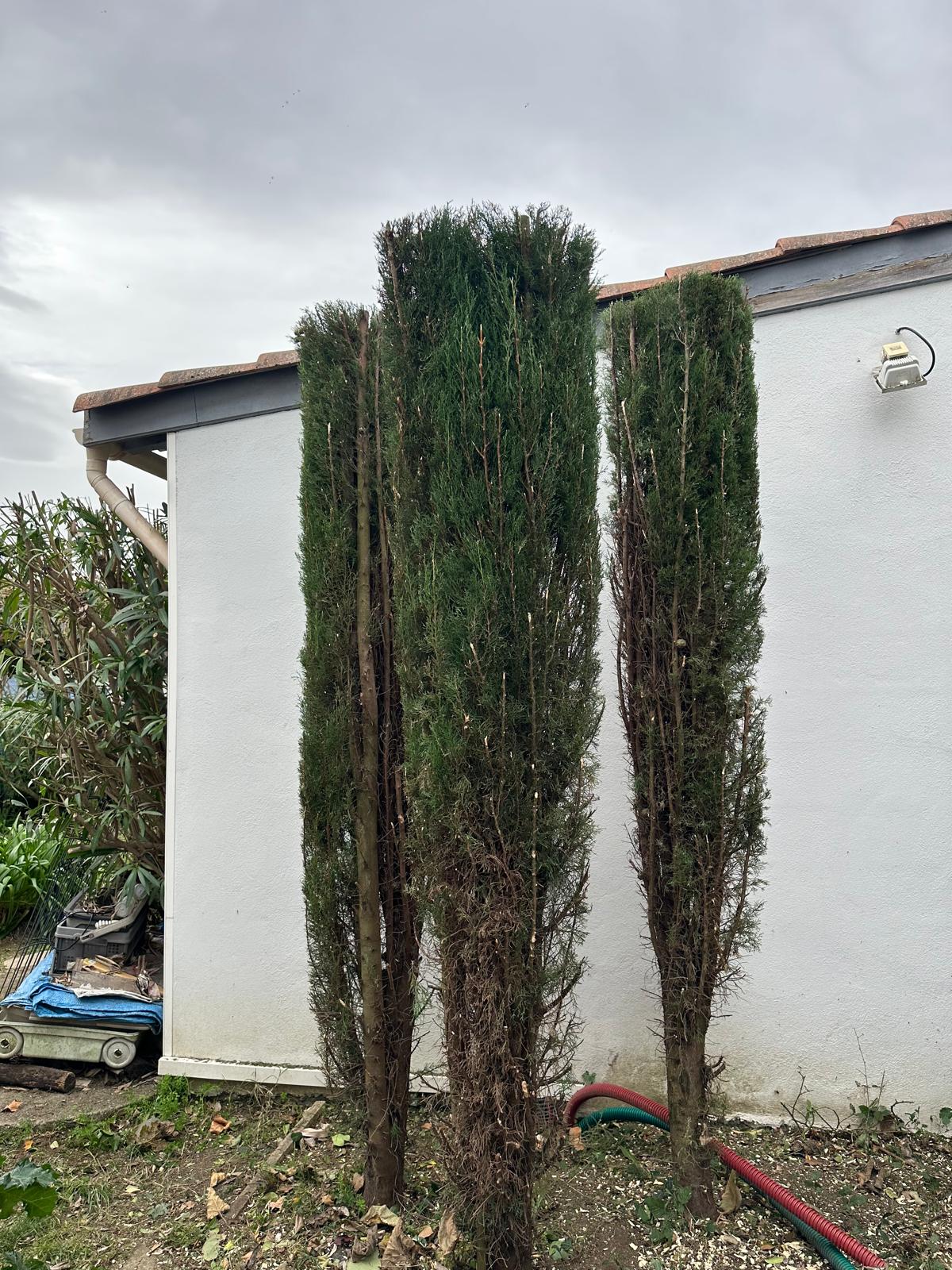 ML Jardinage