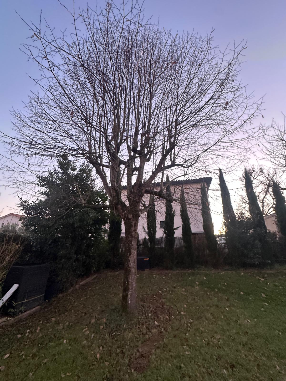 ML Jardinage