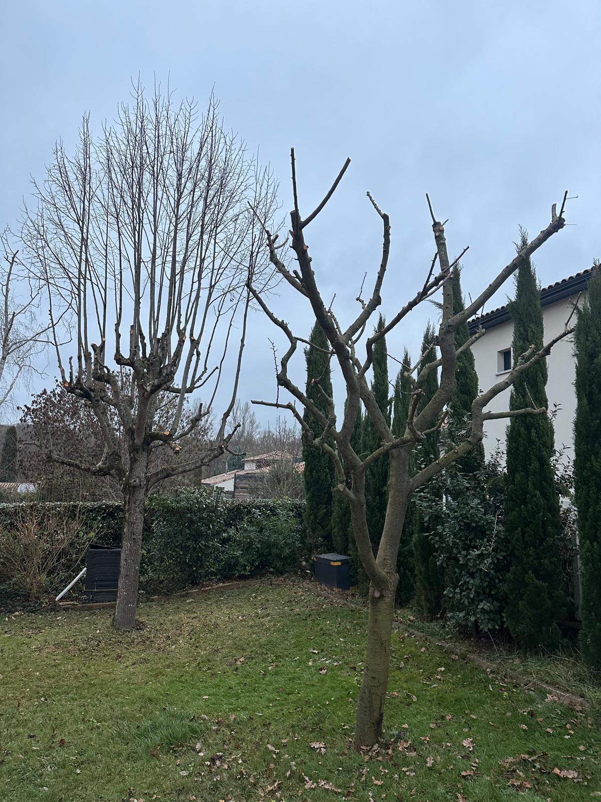ML Jardinage