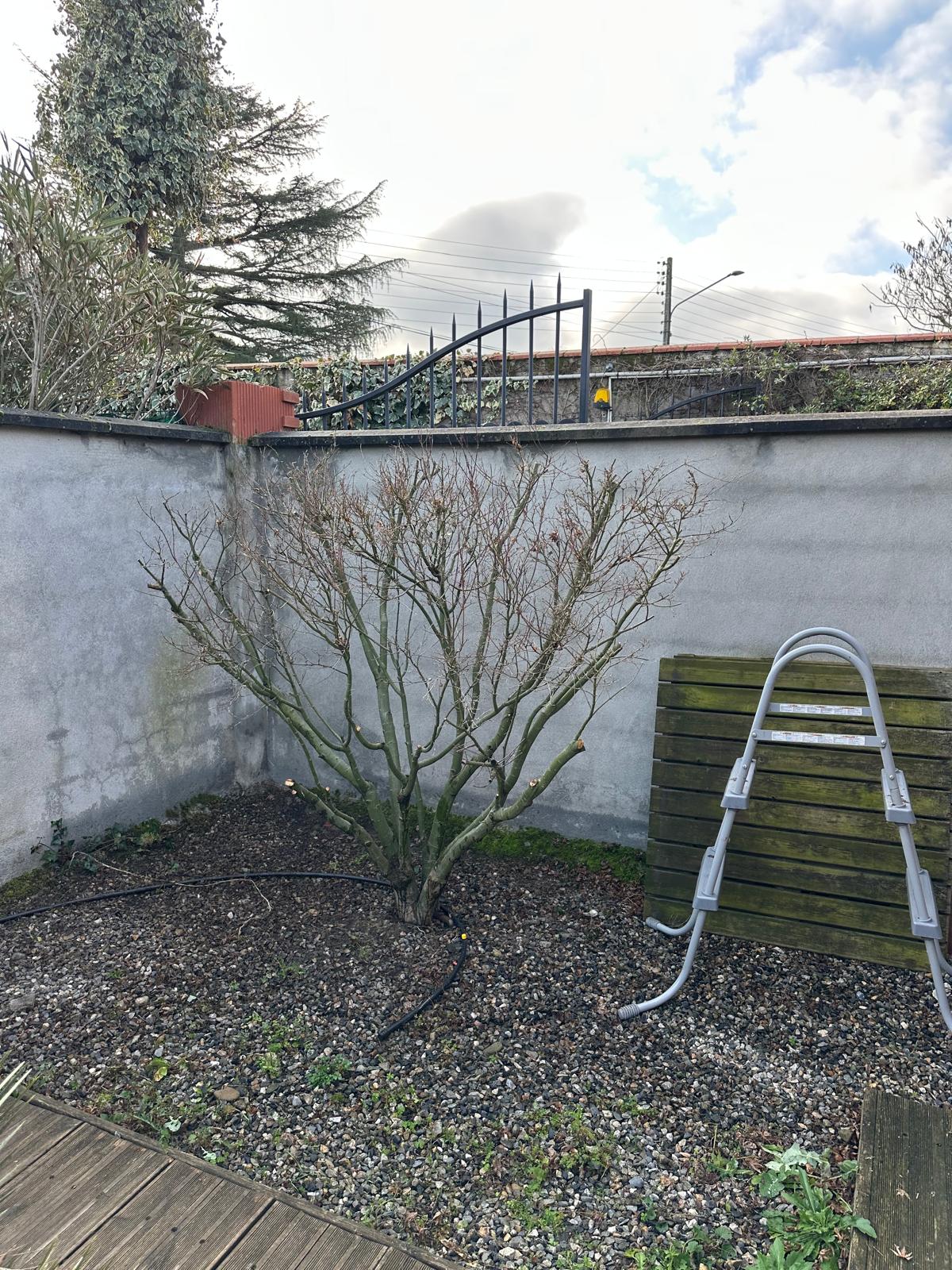 ML Jardinage