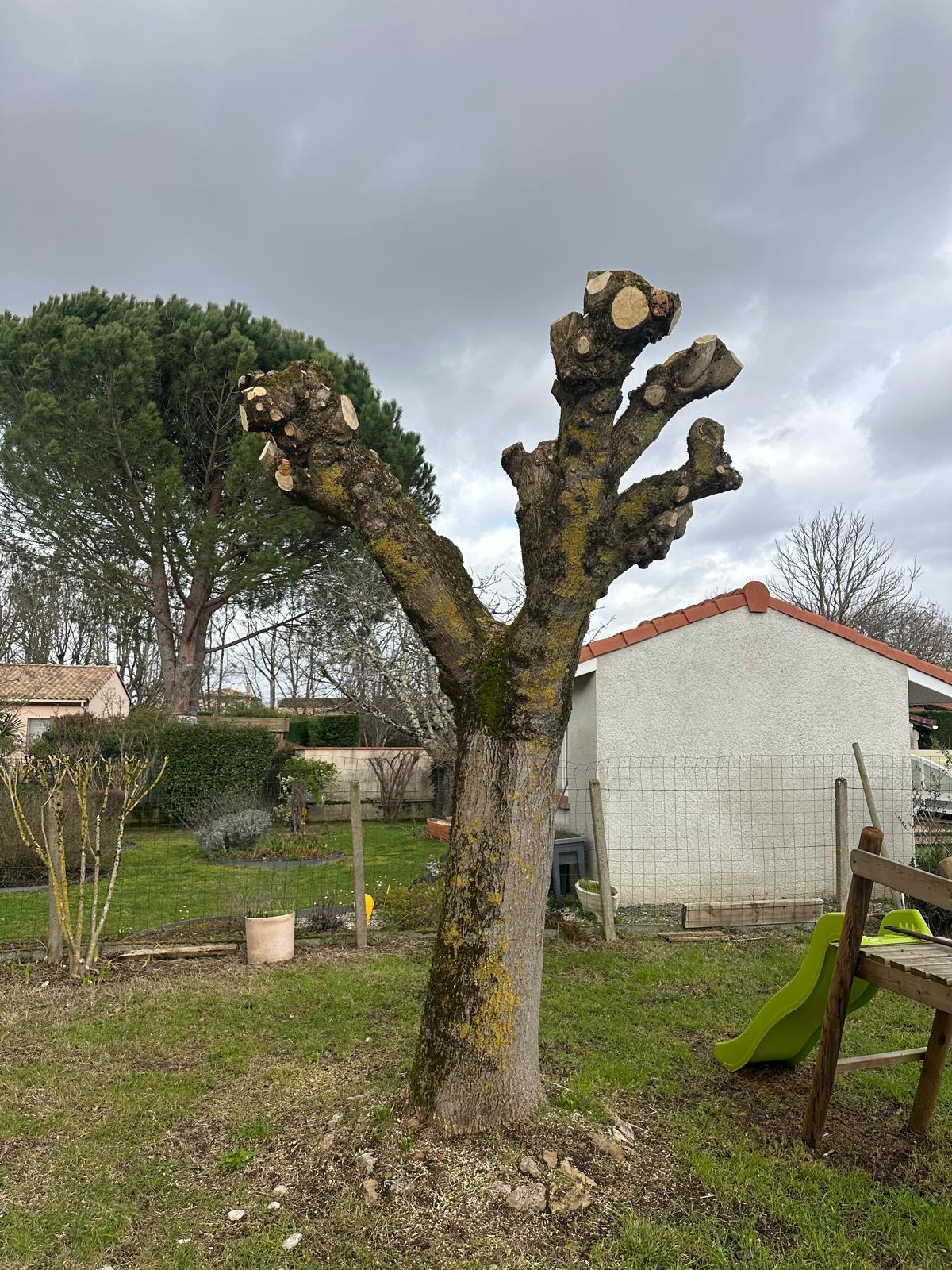 ML Jardinage