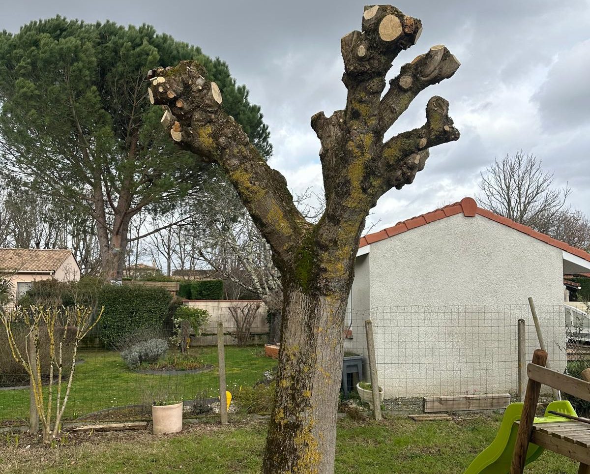 ML Jardinage